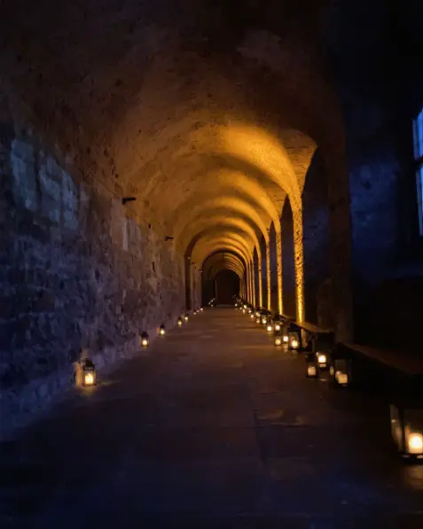 The Charterhouse Cloisters